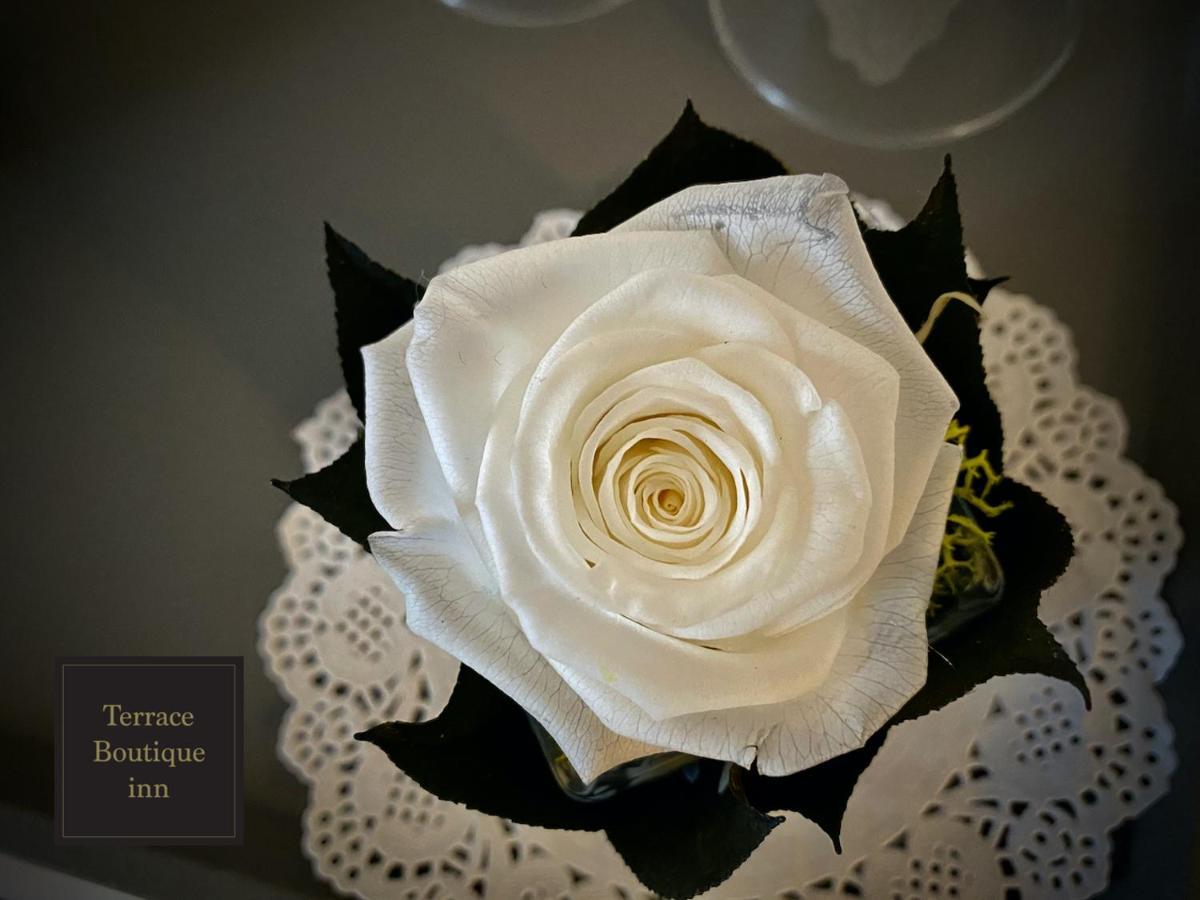 Maison d'hôtes Terrace Boutique *